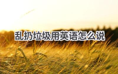 乱扔垃圾用英语怎么说