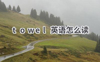 towel英语怎么读