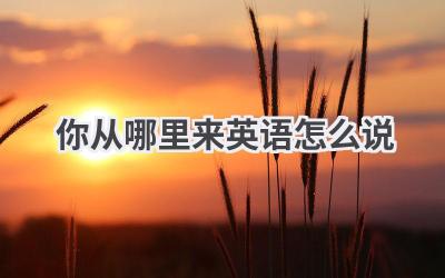 你从哪里来英语怎么说