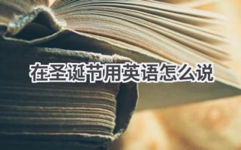 在圣诞节用英语怎么说