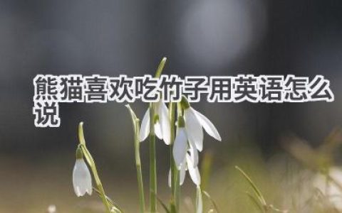 熊猫喜欢吃竹子用英语怎么说