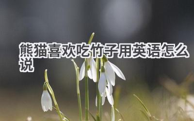 熊猫喜欢吃竹子用英语怎么说