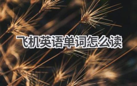 飞机英语单词怎么读