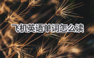 飞机英语单词怎么读