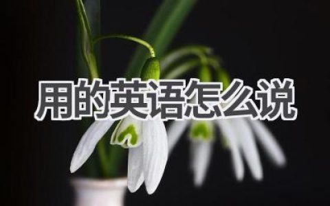 用的英语怎么说
