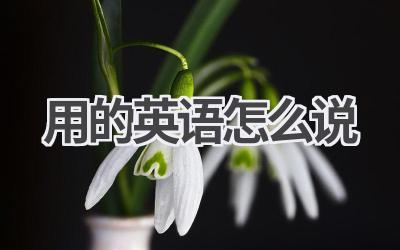 用的英语怎么说
