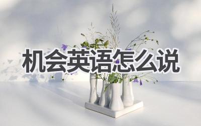 机会英语怎么说