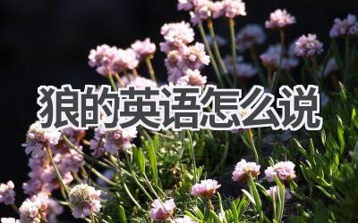 狼的英语怎么说