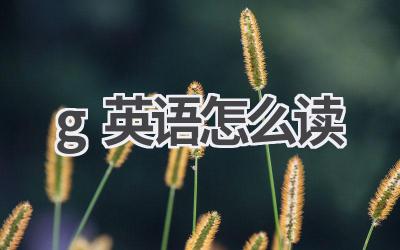g英语怎么读