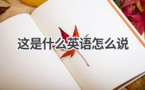 这是什么英语怎么说