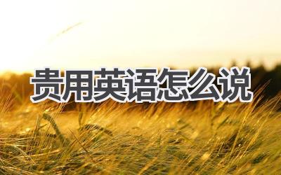 贵用英语怎么说