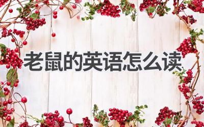 老鼠的英语怎么读