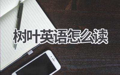 树叶英语怎么读