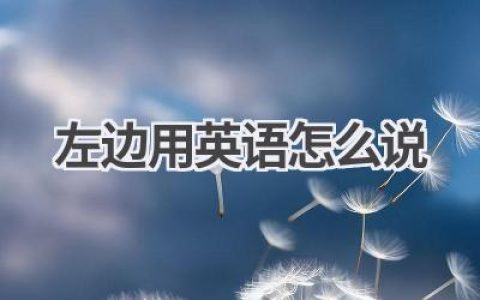 左边用英语怎么说