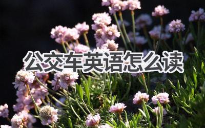 公交车英语怎么读