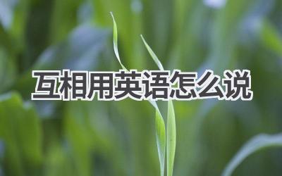 互相用英语怎么说