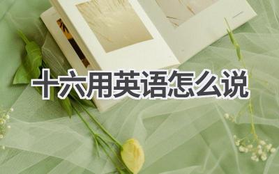 十六用英语怎么说