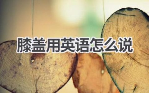 膝盖用英语怎么说