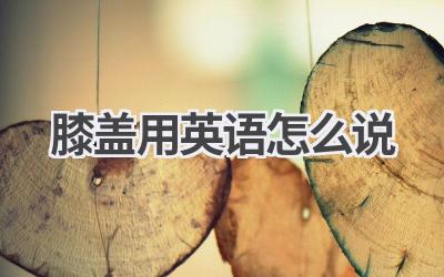 膝盖用英语怎么说