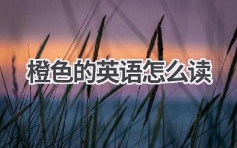 橙色的英语怎么读
