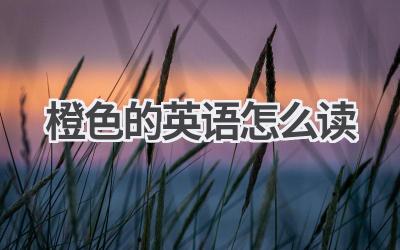 橙色的英语怎么读