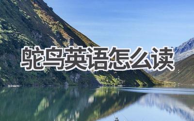 鸵鸟英语怎么读