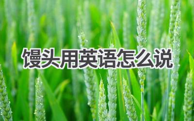 馒头用英语怎么说
