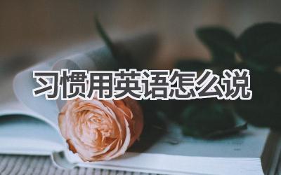 习惯用英语怎么说