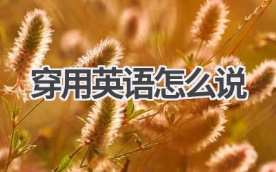穿用英语怎么说