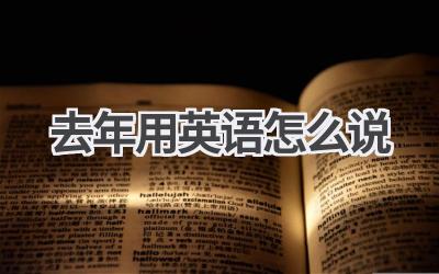 去年用英语怎么说