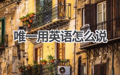 唯一用英语怎么说