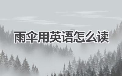 雨伞用英语怎么读