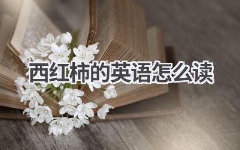 西红柿的英语怎么读