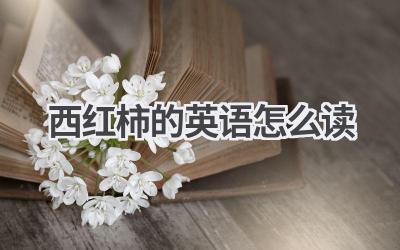 西红柿的英语怎么读