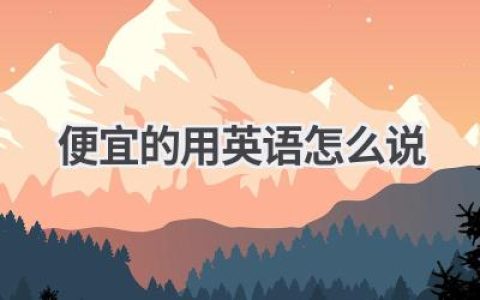 便宜的用英语怎么说