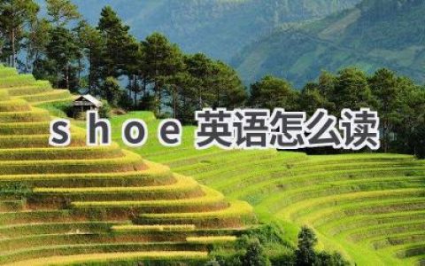 shoe英语怎么读