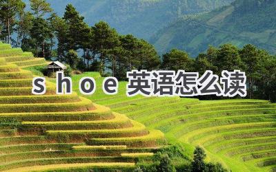 shoe英语怎么读