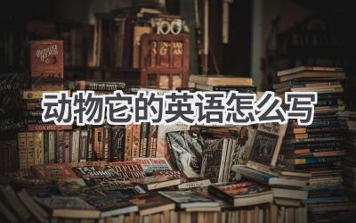 动物它的英语怎么写