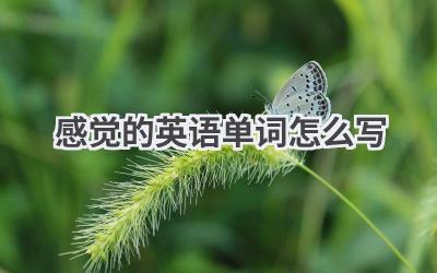 感觉的英语单词怎么写