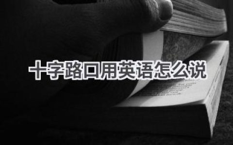 十字路口用英语怎么说