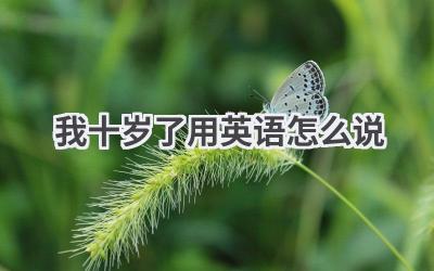 我十岁了用英语怎么说