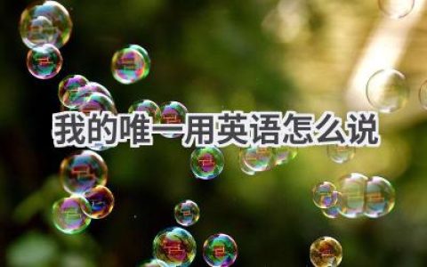 我的唯一用英语怎么说