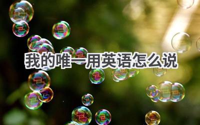 我的唯一用英语怎么说