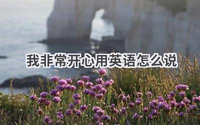 我非常开心用英语怎么说
