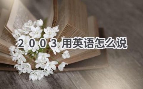 2003用英语怎么说