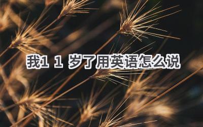 我11岁了用英语怎么说