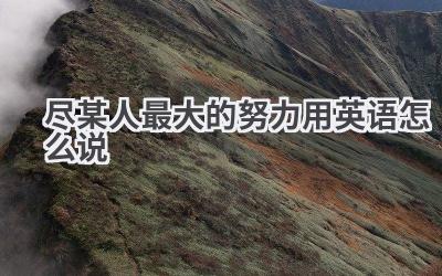 尽某人最大的努力用英语怎么说