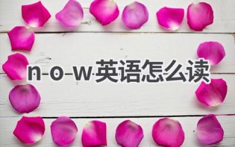 now英语怎么读