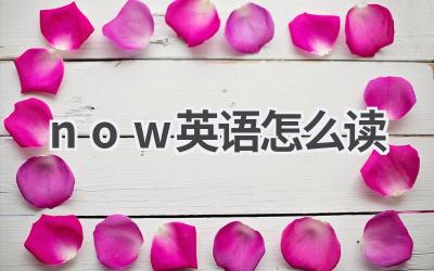 now英语怎么读
