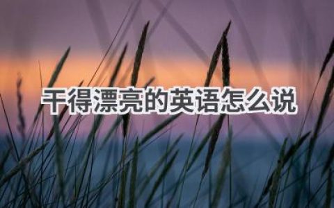 干得漂亮的英语怎么说
